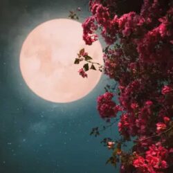 Full moon april 2024 meaning